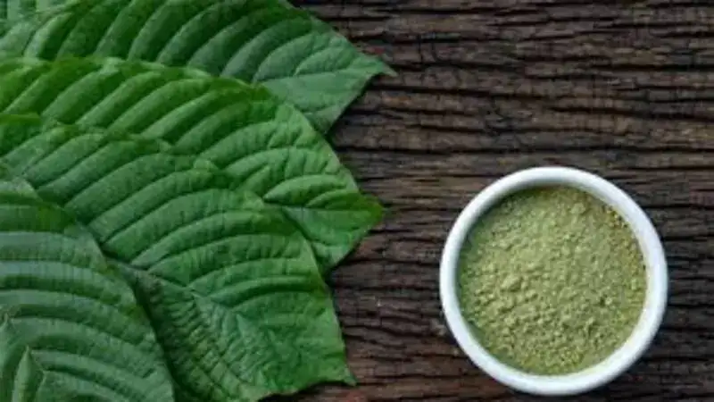 How Long Does Kratom Last